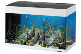 Het Ferplast Dubai 80 aquarium is een zeer net en modern aquarium. Het aquarium is voorzien van een verplaatsbaar intern filter.