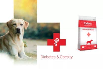 Calibra Veterinary Hond Diabetes & obesitas 12kg