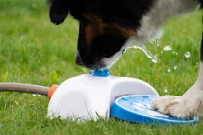 Coolpets Splash Water Fountain hond drinken