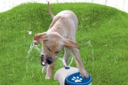 Coolpets Splash Water Fountain puppy gras