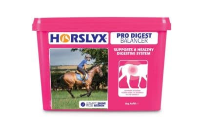 Horslyx Pro Digest Balancer liksteen