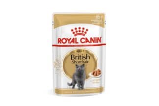Royal Canin British Shorthair Adult wet