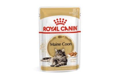 Royal Canin Main Coon Adult wet