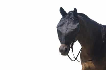 QHP Vliegenmasker met Gehoorbescherming paard