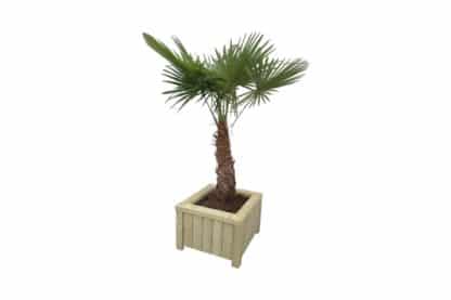 Bloembak geïmpregneerd hout robuust op poten palm