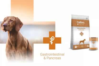 Calibra veterinary hond Gastrointestinal & Pancreas