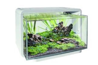 Het Superfish Home 25 aquarium is ideaal voor aquascaping en heeft een ingebouwde filter en energiezuinige LED verlichting.