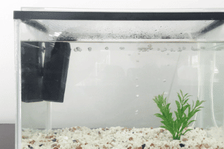 Filters aquarium