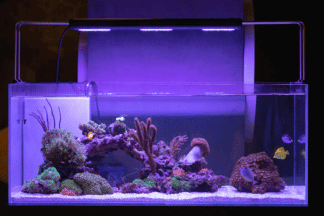 Aquarium verlichting