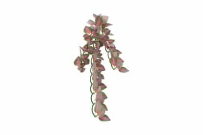 Trixie zijden Hangplant Folium Perillae