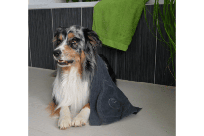 De Petlando Honden handdoek is een super absorberende 100% Polyester-microvezel handdoek voor het afdrogen van jouw hond. De 2 vakken zorgen voor extra grip en maken het extra makkelijk om je hond na het uitlaten af te drogen.