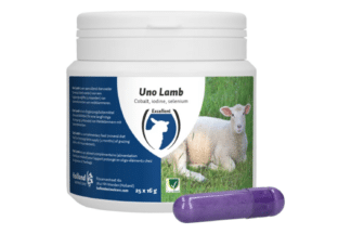 Excellent Uno Lam is een voedingssupplement voor lammeren dat ontworpen is om hun gezondheid te verbeteren. Het is een bolus die in de maag van het lam wordt geplaatst en die geleidelijk voedingsstoffen afgeeft gedurende een periode van 4 maanden.
