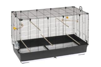 De Ferplast Piano 8 vogelkooi is een grote kooi voor kanaries, parkieten en andere kleine vogels. De kooi is voorzien van een grote kunststof bodem voorzien van uitneembare lades voor eenvoudige reiniging