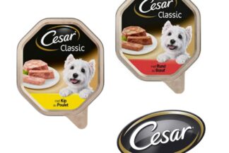 Cesar hondenvoeding