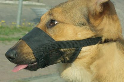 Het Beeztees Comfort muilband snuitje zit hoog op de neus en belemmert daardoor hijgen en drinken niet bij honden. De snuitomtrek is verstelbaar, waardoor je hem makkelijk passend maakt. Door het sterke nylon ondersteunt het snuitje jouw hond en voorkomt daarmee dat hij kan happen. Geschikt voor bijvoorbeeld een bezoekje aan de dierenarts.