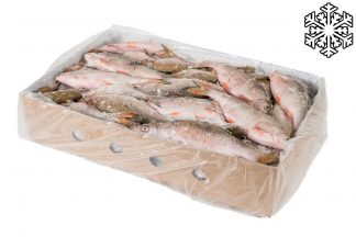 Diepvries zoetwatervis voorn 10 kg