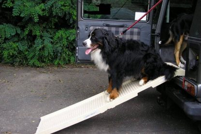 Dogstep inklapbare hondenloopplank