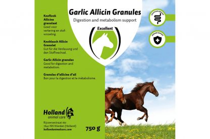 Excellent Garlic Allicin Granulaat (Knoflook Chips) - 750 gram