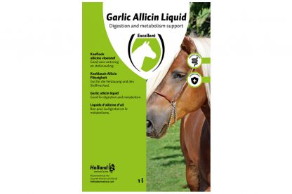Excellent Garlic Allicin Liquid