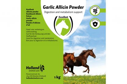 Excellent Garlic Allicin EU Knoflook Poeder 1 kg