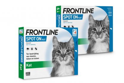 Frontline Spot-On kat