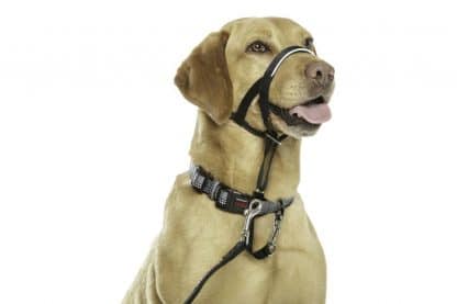Het Halti Hoofdtuig biedt ondersteuning wanneer uw hond extreem trekt aan de lijn.