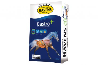 Havens Gastro+ paardenbrok 20 kg