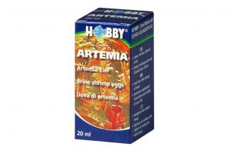 Hobby Artemia
