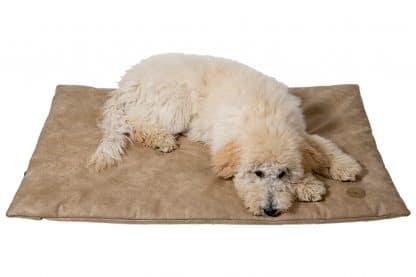 Het Jack & Vanilla Classy Bench Kussen is een mooi en comfortabel rechthoekig hondenkussen