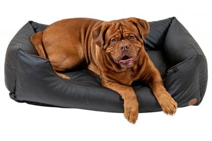 De Jack & Vanilla Classy Sofa is een heerlijke mand gemaakt van kunstleder voor uw hond. Verkrijgbaar in drie kleuren, onder andere Pitch (zwart)