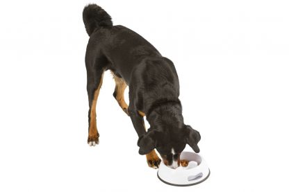 De Kerbl Anti Dribble ondersteunt uw hond bij het niet schrokken tijdens het eten van brokken of ander voer.