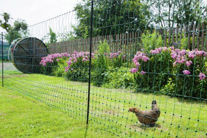 Kerbl-kippennet-niet-elektrificeerbaar-groen-tuin