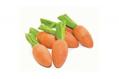 Happy pet carrot nibblers knaaghout 8x3x3 cm 6 st