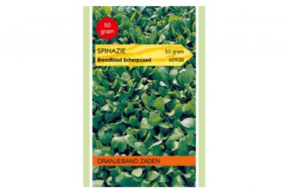 Oranjeband Zaden spinazie breedblad scherpzaad