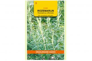 Rozemarijn (Rosmarinus officinalis)