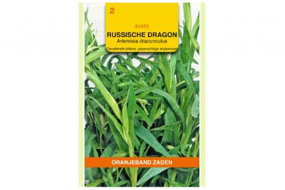 Oranjeband Zaden Russische dragon (Artemisia dracunculus var. inodora)