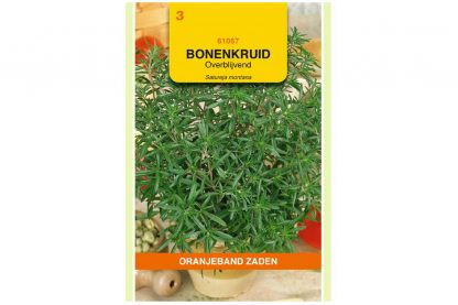 Oranjeband Zaden overblijvend bonenkruid (Satureja montana)