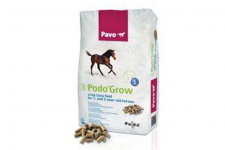 Pavo Podo -3- Grow