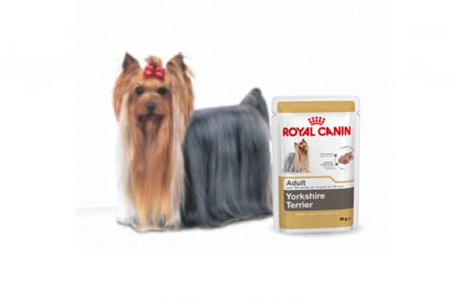 Royal Canin Adult Wet Yorkshire Terrier