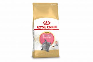 Royal Canin British Shorthair Kitten is een rasspecifieke voeding voor Brits Korthaar kittens van 4 tot en met 12 maanden.