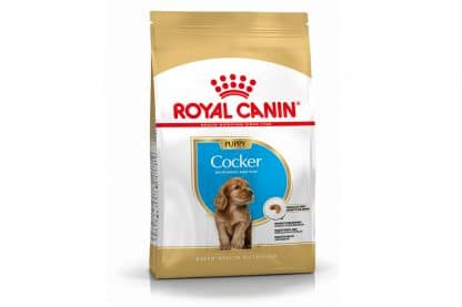 Royal Canin Junior Cocker Spaniel is een rasspecifieke voeding voor Cocker Spaniel pups tot 12 maanden.