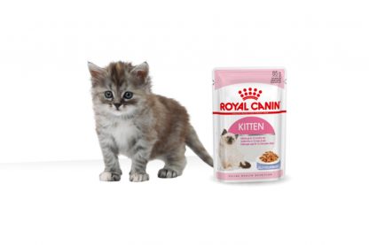 Royal Canin Kitten Jelly maaltijdzakjes