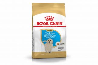 Royal Canin Junior Golden Retriever is een rasspecifieke voeding voor Golden Retriever pups tot 15 maanden