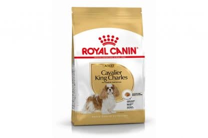 Royal Canin Cavalier King Charles Spaniel Adult is een rasspecifieke voeding voor volwassen Cavalier King Charles Spaniels vanaf 10 maanden
