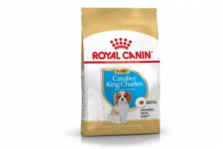 Royal Canin Cavalier King Charles Spaniel Junior is een rasspecifieke voeding voor Cavalier King Charles Spaniel pups tot 10 maanden.