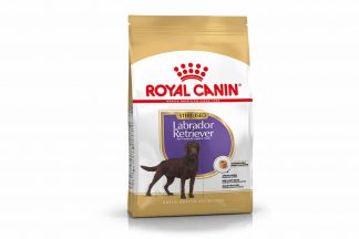 Royal Canin Adult Labrador Sterilised is een rasspecifieke voeding voor volwassen gesteriliseerde/gecastreerde Labradors vanaf 15 maanden.