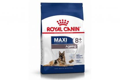 Royal Canin Maxi Ageing 8+ helpt de oudere hond vitaal te blijven vanaf 8 jaar.