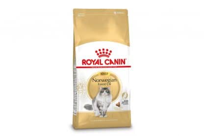 Royal Canin Norwegian Forest Cat Adult rasspecifieke voeding voor de volwassen Noorse Boskat van 1 tot 12 jaar.