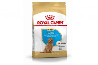 Royal Canin Junior Poodle is een rasspecifieke voeding voor Poodle pups tot 10 maanden.