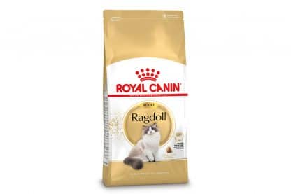 Royal Canin Ragdoll Adult is een rasspecifieke voeding voor de volwassen Ragdoll van 1 tot 12 jaar.